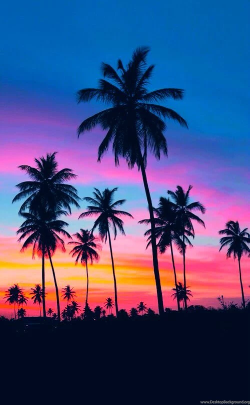 Sunset Beach On Pinterest