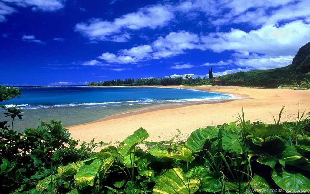 Hawaii Beach Wallpapers