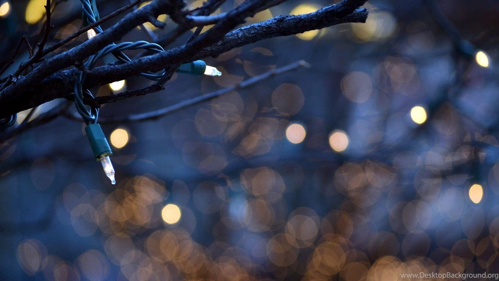 Bokeh Christmas Lights Branches Wallpapers