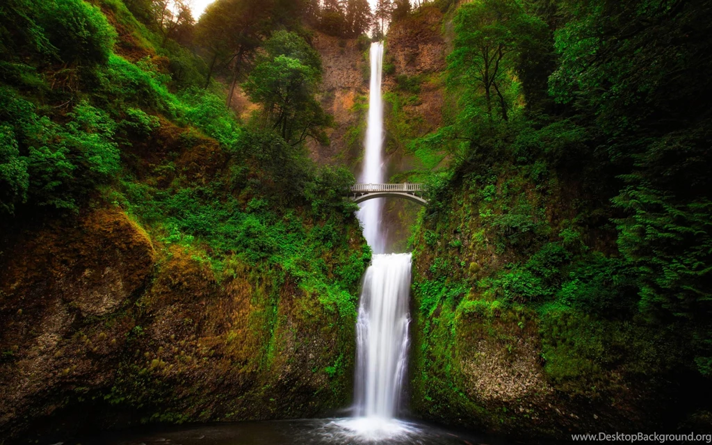 Multnomah Falls Beautiful Nature Wallpapers HD Download