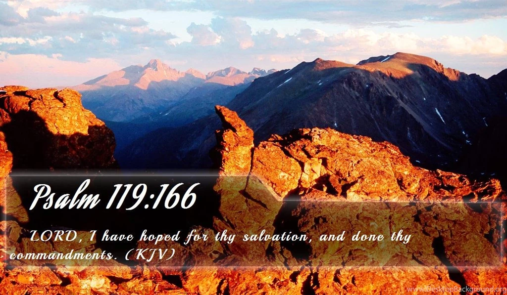 Nook Wallpapers   Free Nook Wallpapers HD 15