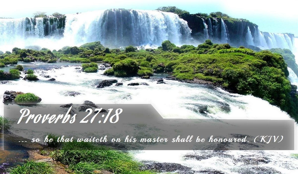 Nook Wallpapers   Free Nook Wallpapers HD 4