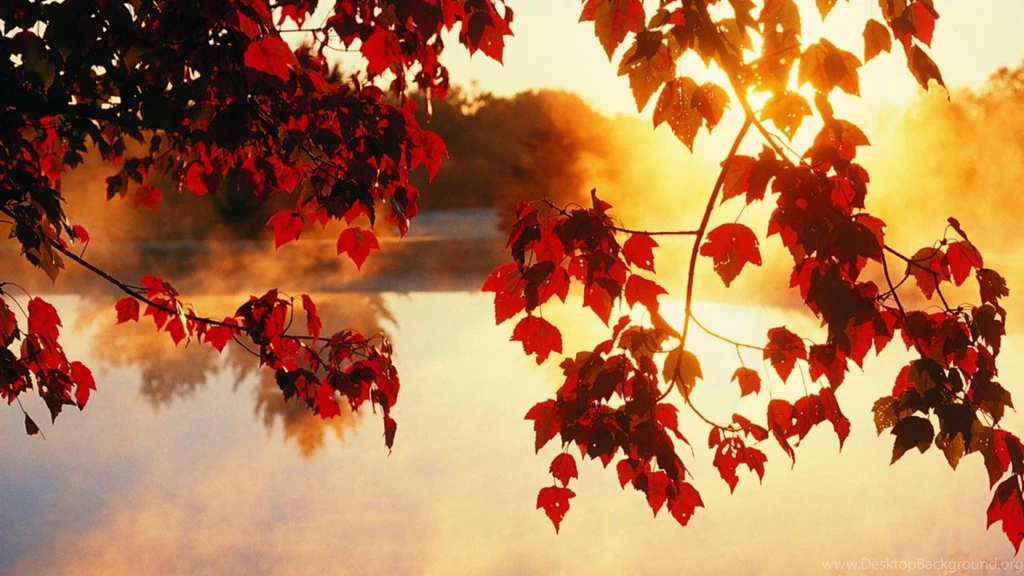 Nice Autumn Wallpapers Desktop Hd 1280x720 Hd Wallpapers Widescreen ...