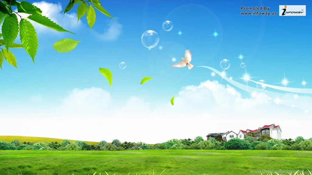Beautiful Summer Scenery Photo 249 Of 413