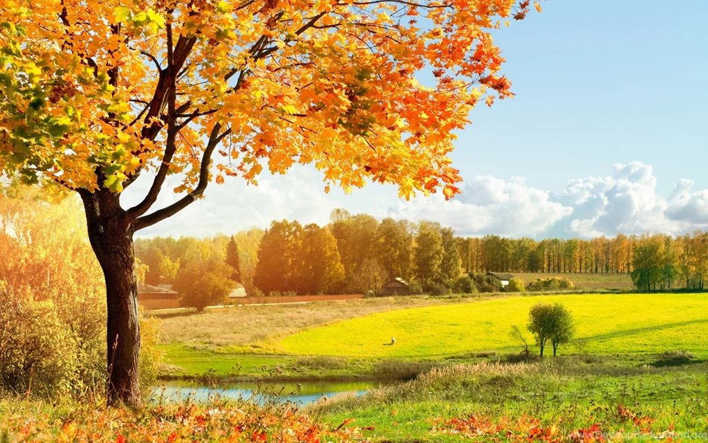 Scenery Pictures