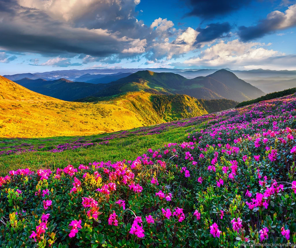 Scenic Mountain High Resolution Wallpapers 5718 Amazing Wallpaperz