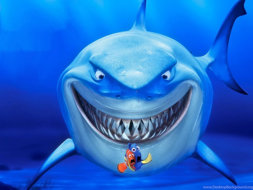 Finding Nemo Bruce Shark Free Wallpapers HD