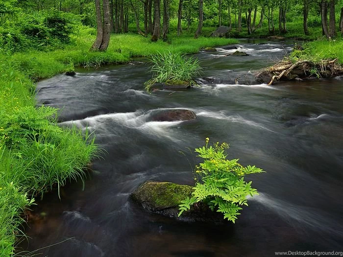 Japanese Scenery Wallpapers Professional & Beautiful11 Wallcoo.net