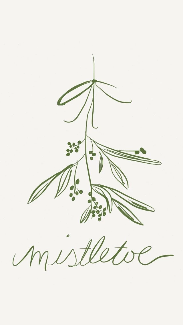 iPhone Wallpapers » Mistletoe // Abbie Kressner