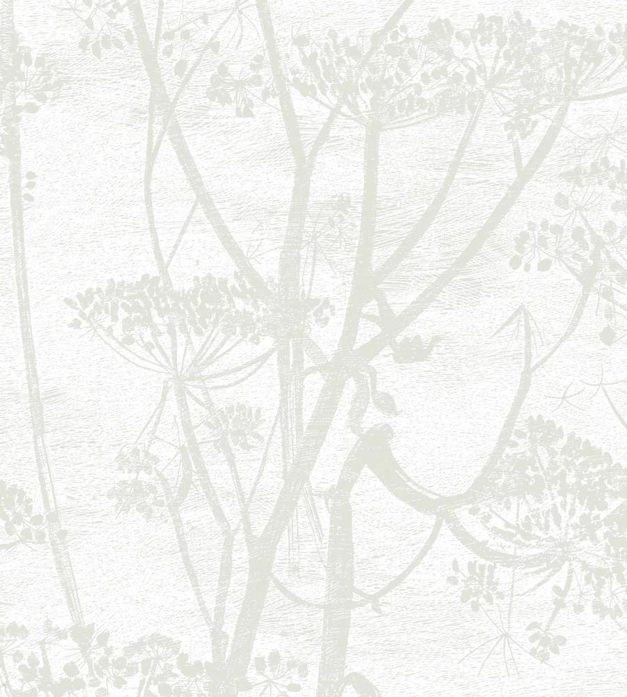 Cow Parsley Wallpapers By Cole & Son Desktop Background