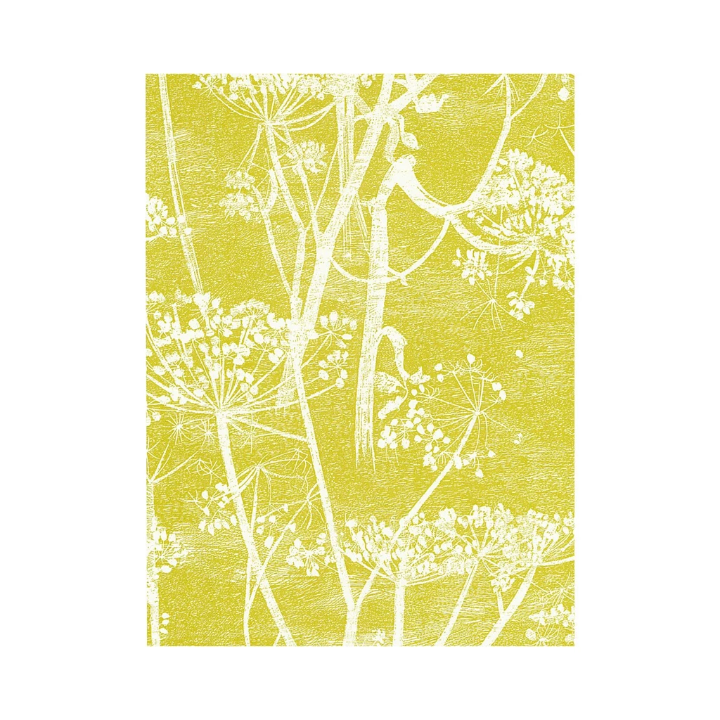 Buy Cole & Son Cowparsley Wallpapers