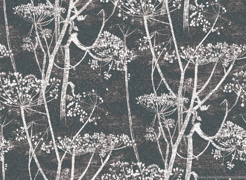 Cow Parsley By Cole & Son : Wallpapers Direct