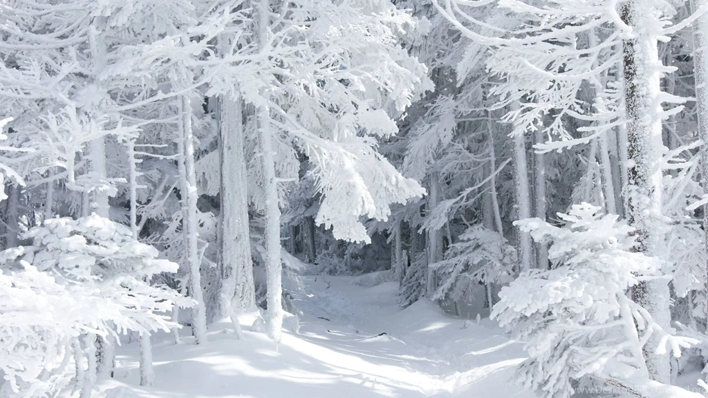 11 Themes N3 N2 ) Customizable CSS Winter/holiday Themes Forum ...