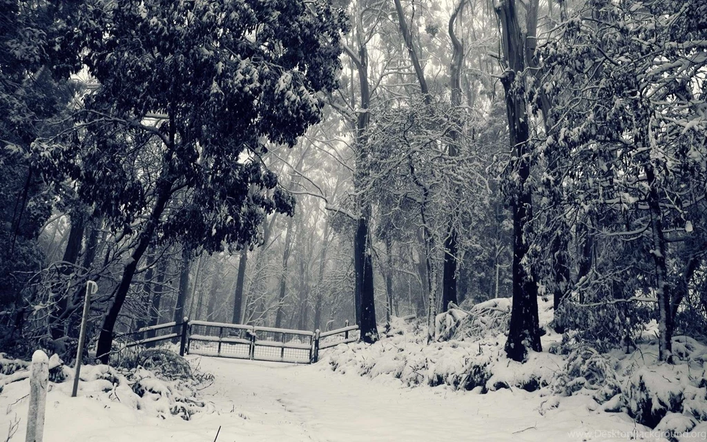 Christmas Winter Wonderland Backgrounds Full Hd Wallpapers Pictures ...