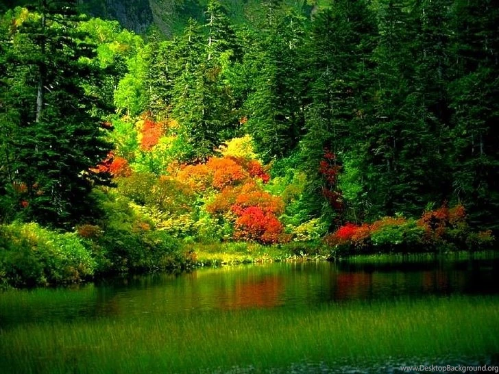 Best Pictures, High Resolution Images, Quality Backgrounds