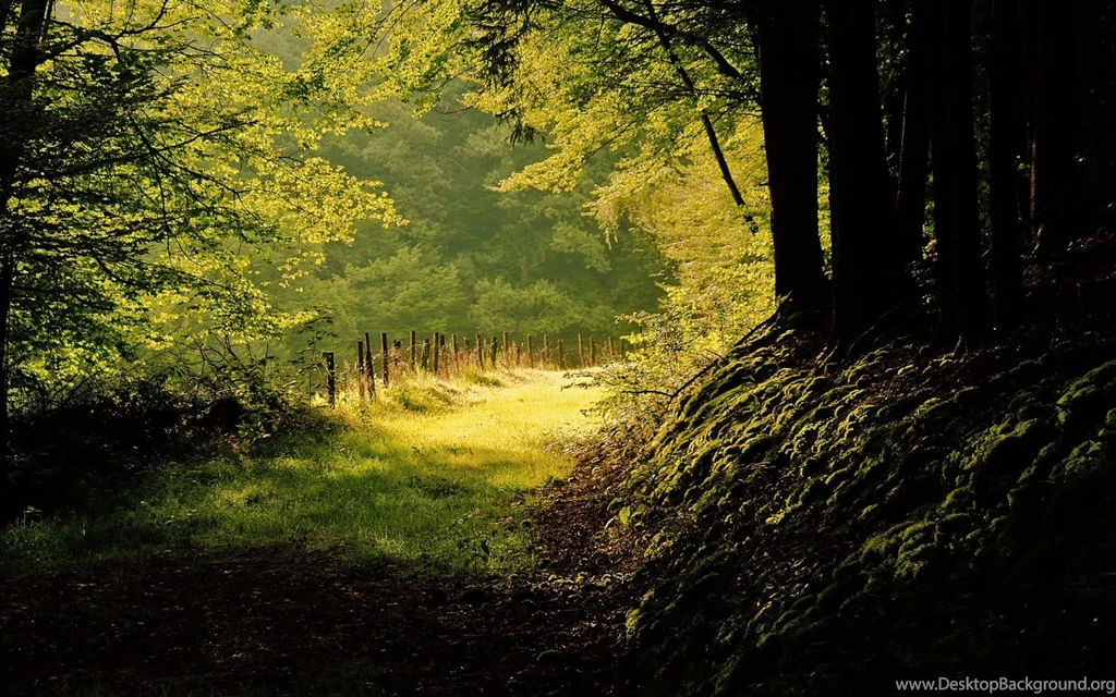 Nice Wallpapers For Mac