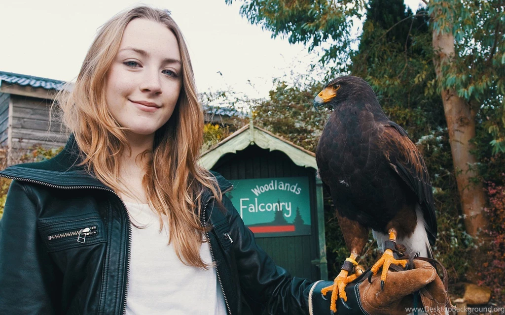 Saoirse Ronan Actress Blonde Girl Eagle Bird