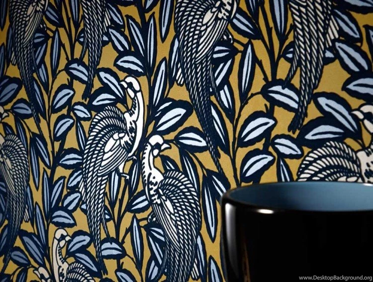 Tailfeather2 75987652b80e677aff3aed3084bd3eba.jpg