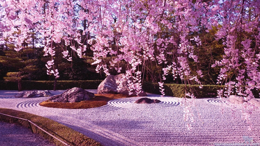 Cherry Blossom Tree Wallpaper.