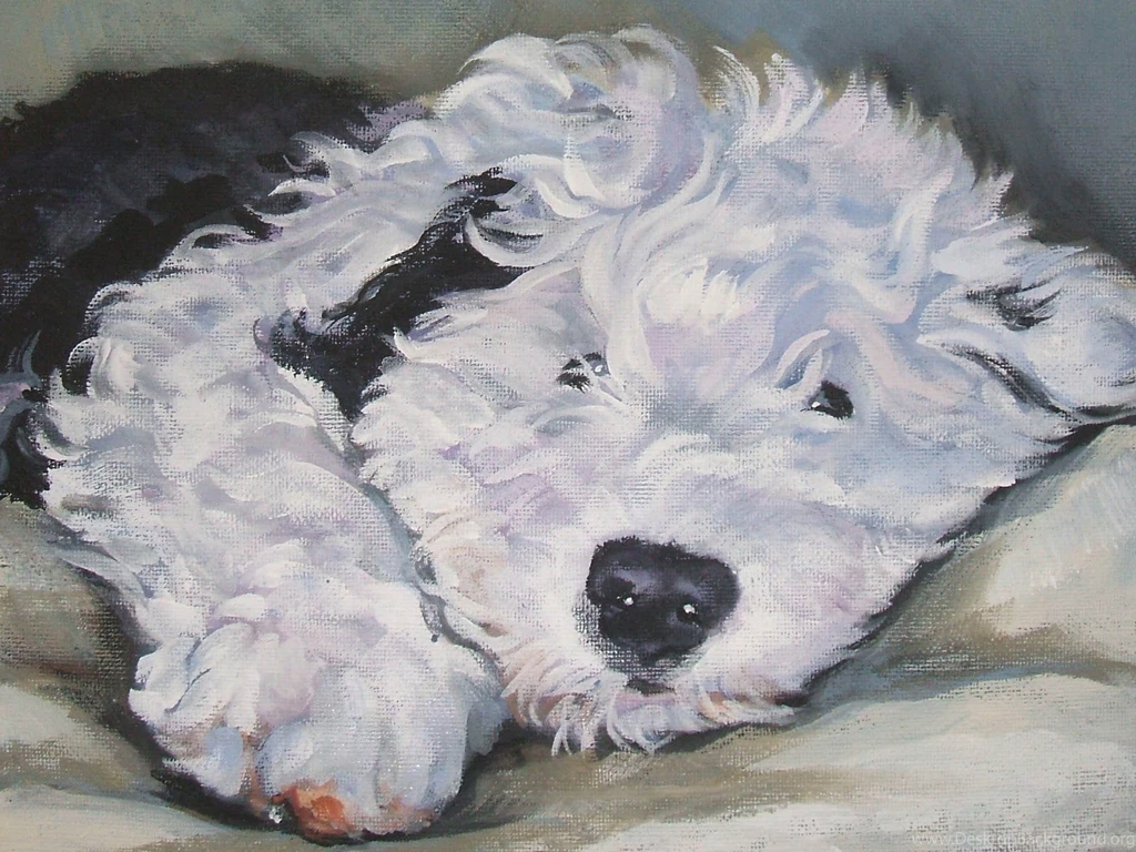 Drawn Old English Sheepdog Photo And Wallpaper. Beautiful Drawn ...