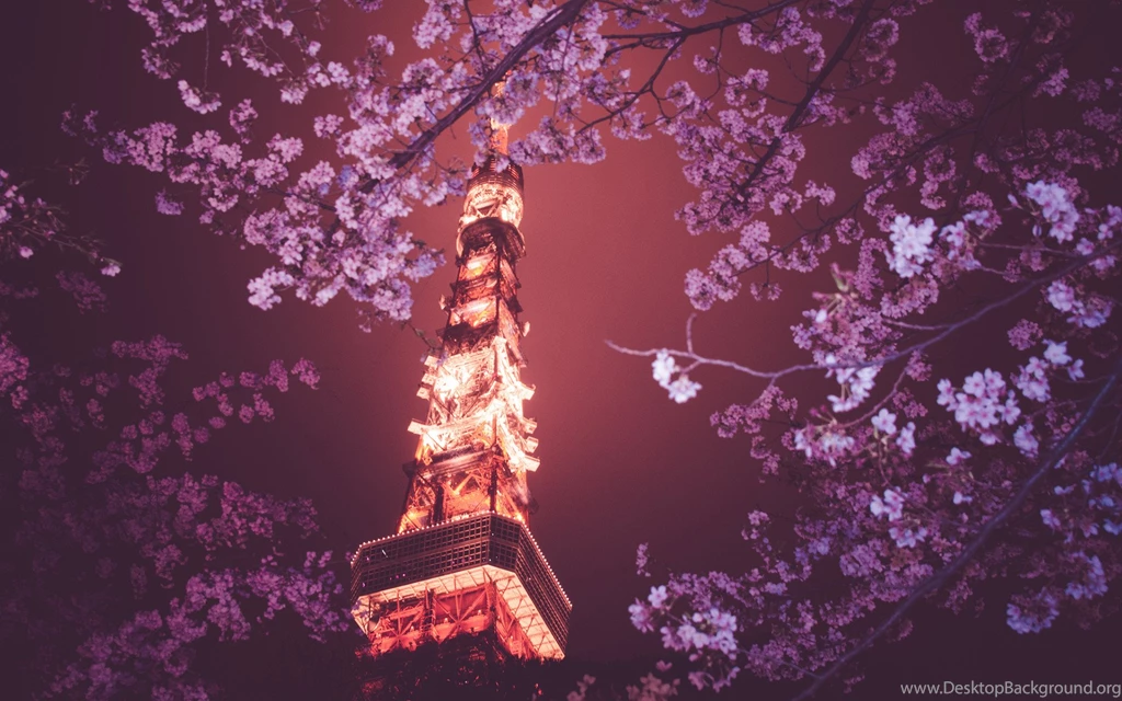 Description The Wallpapers Above Is Cherry Blossom Tree Wallpapers ...