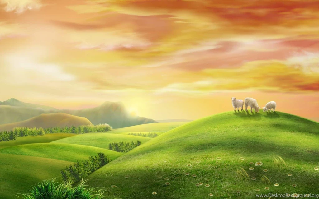 Wallpapers Collection For Your Computer And Mobile Phones: 12 Best ...