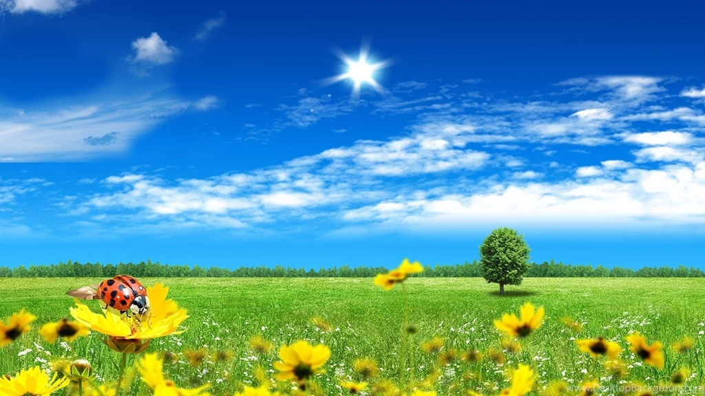 Spring Season : Desktop And Mobile Wallpapers : Wallippo