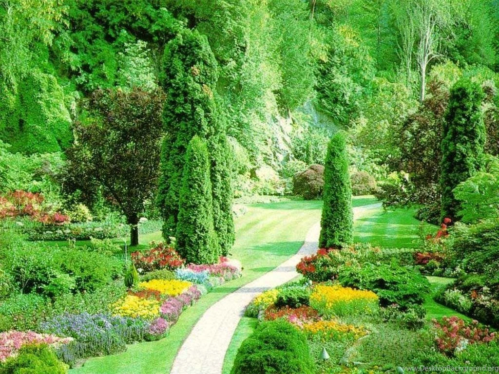 Nature Wallpapers High Resolution Green Best HD Desktop Wallpapers ...