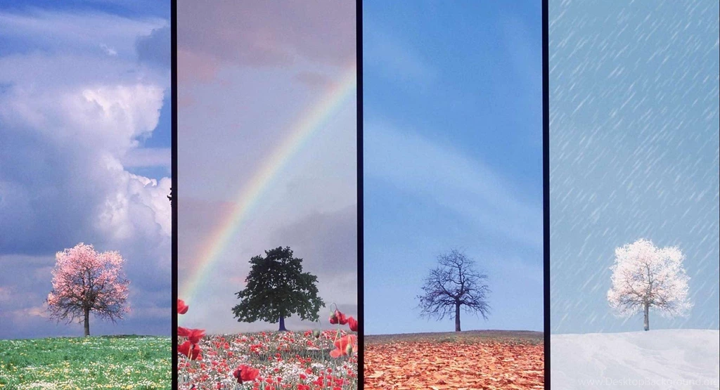 Free Seasons Wallpapers And Backgrounds ~ Toptenpack.com