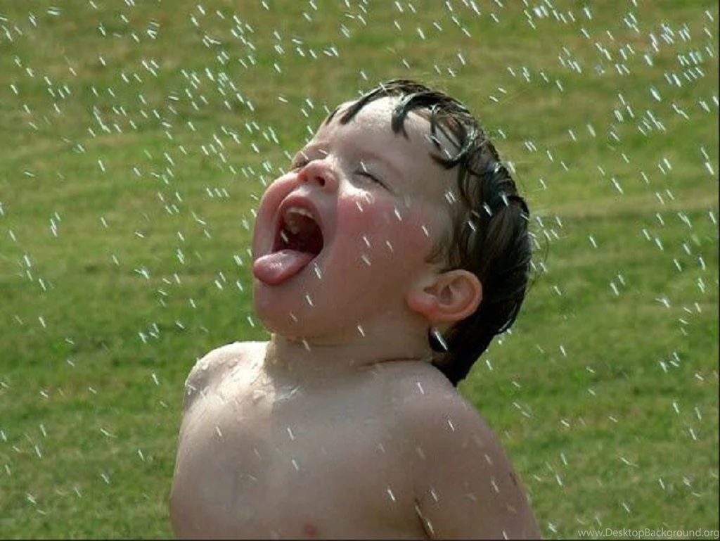 Latest Rainy Season HD Free Wallpapers