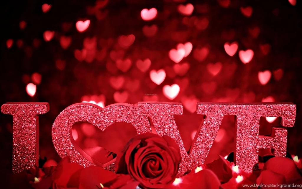 Rose Flowers Wallpapers Collection (45+)