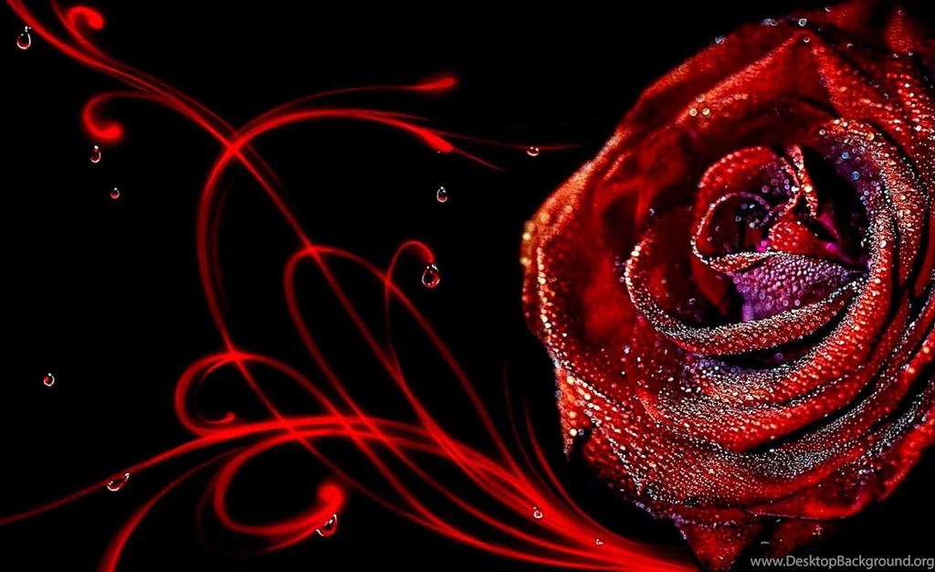 3D Rose Flower Wallpapers