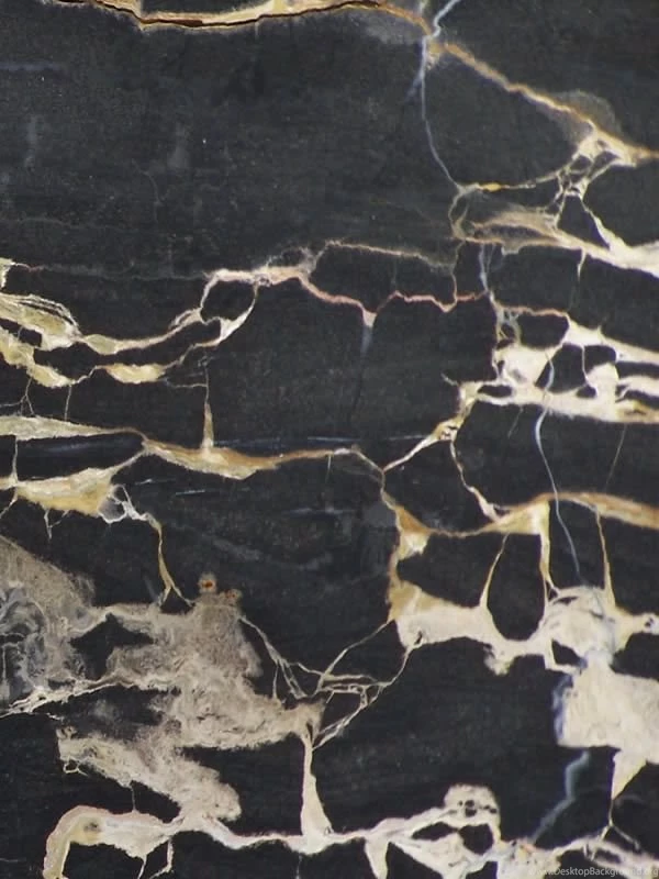 Austral Gold Black Marble From Australia