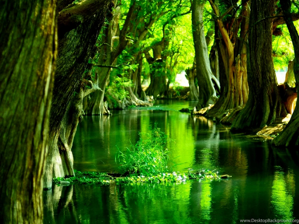 Desktop Nexus Wallpapers Wallpapers HD Base