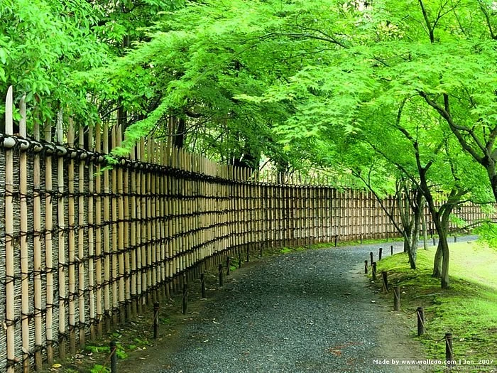 Japanese Garden In Kyoto, Zen Garden Of Kyoto 3 Wallcoo.net