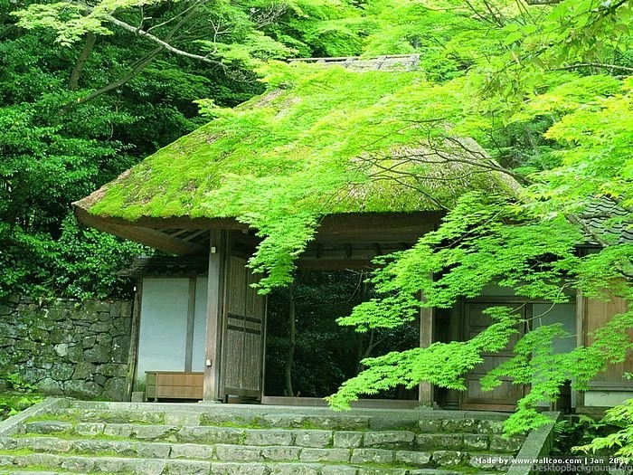 Japanese Garden In Kyoto, Zen Garden Of Kyoto 5 Wallcoo.net