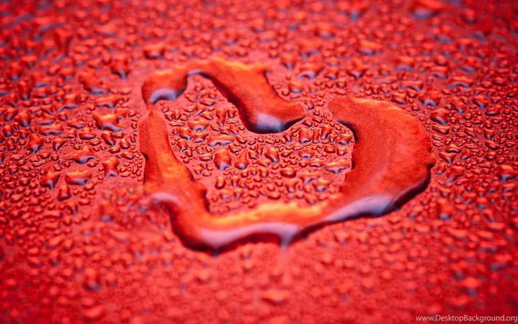 Keyword: Heart   Wonderful HD Wallpapers   WallpaperLayer.com