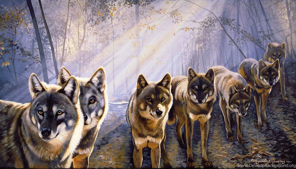 Wolf Pack Images Free Wallpapers