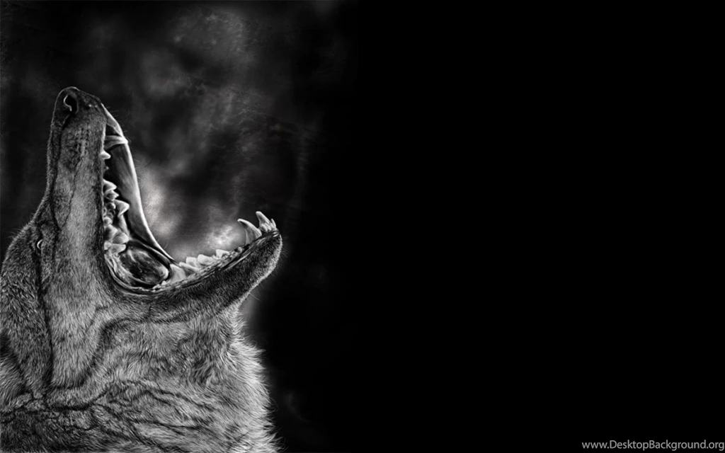FOGBREATH WALLPAPER (