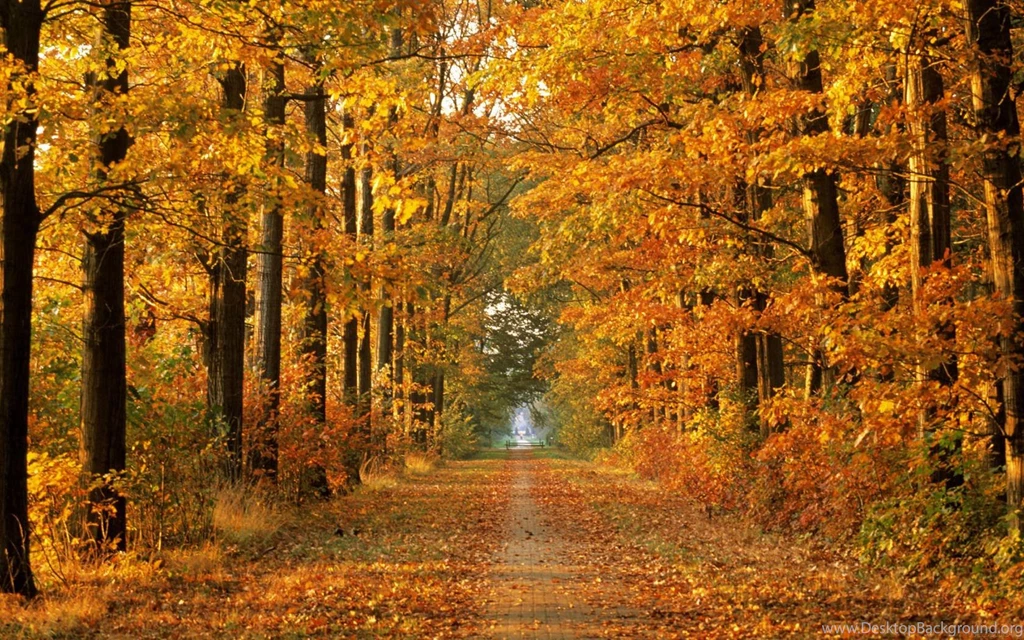 Scenic Backgrounds