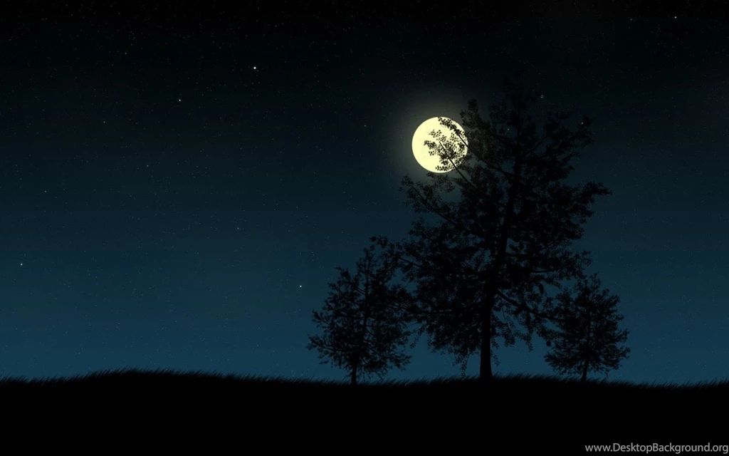 High Quality Hd Wallpapers Widescreen HD Wallpapers