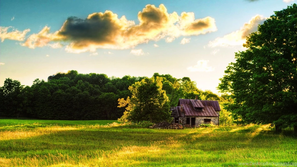 High Quality HD Wallpapers Free Download
