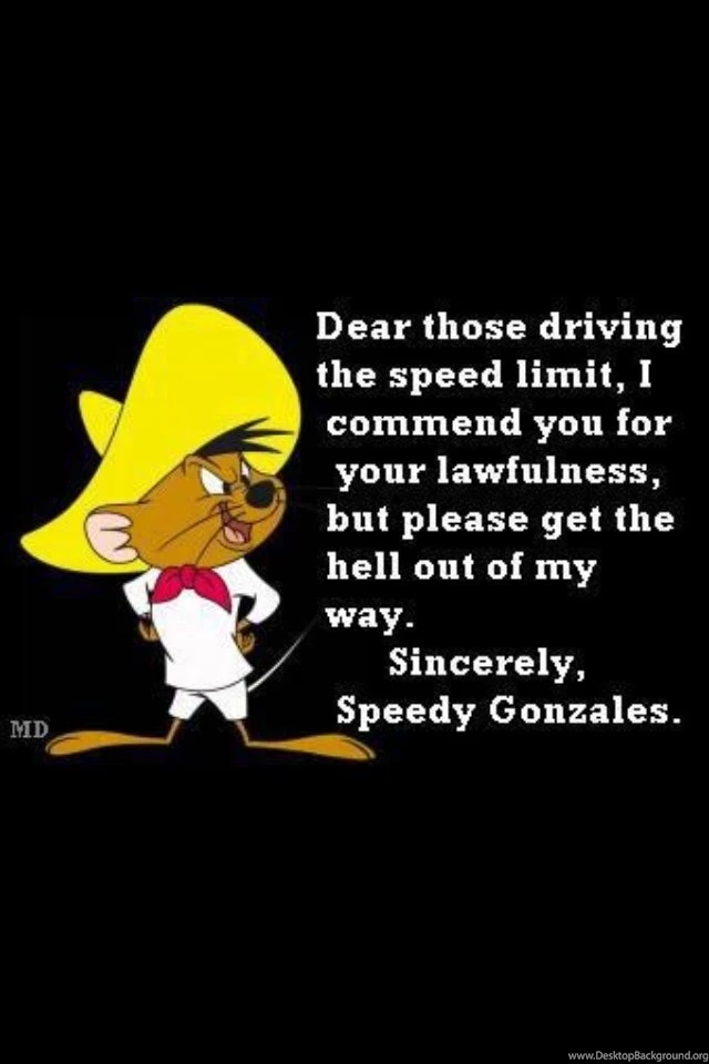 SPEEDY GONZALEZ On Pinterest