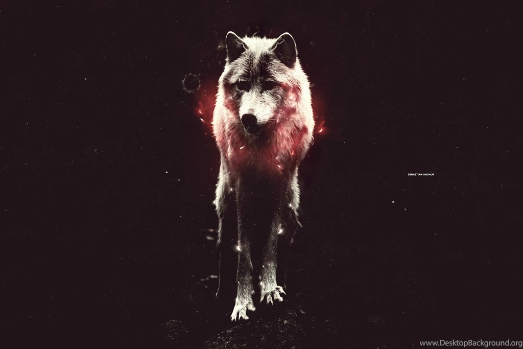 Download Abstract Animals Wallpapers 2808x1872