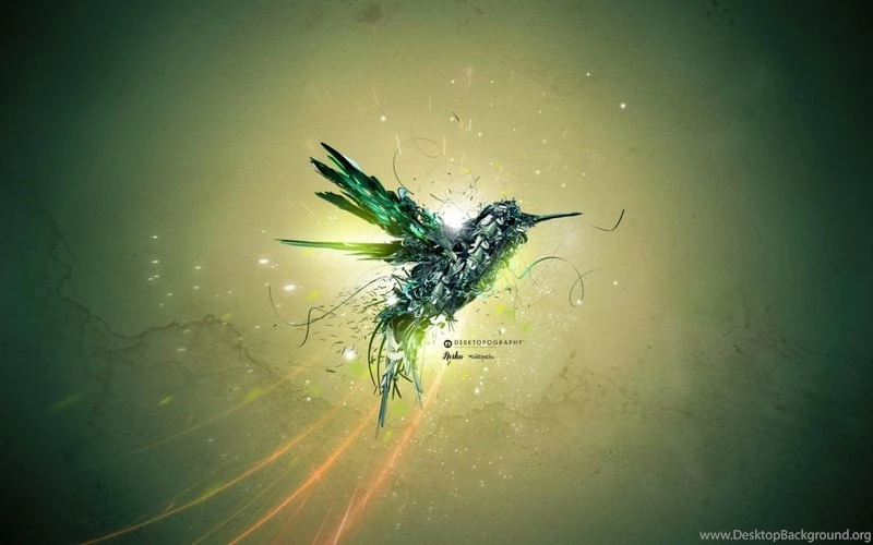 Birds,abstract Abstract Birds Creative Hummingbird 1920x1200 ...