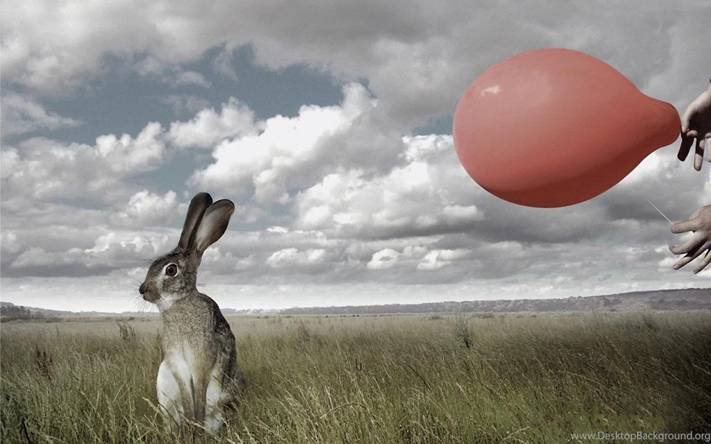 Animal Abstract Digital Art Creative 18 Wallpapers HD Wallpapers ...