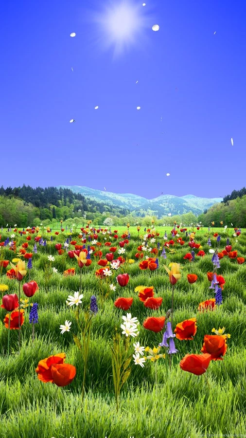 Spring Scene Free Android Apps On Google Play