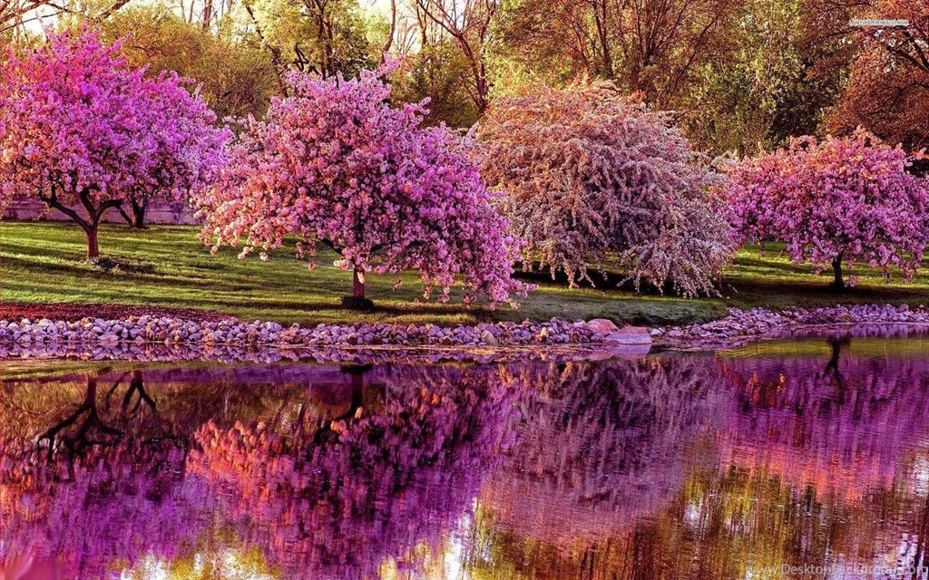 Spring Wallpapers Android Apps On Google Play
