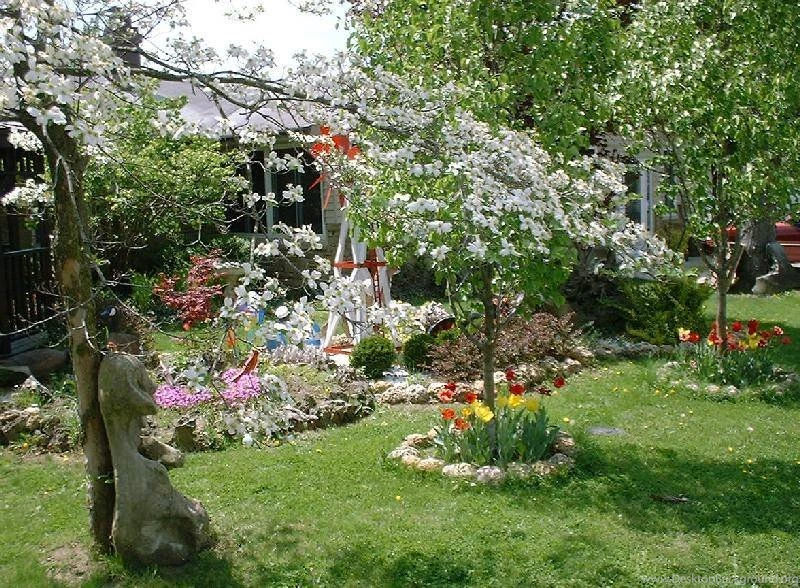 Spring Scenes Wallpapers From Wilstar.com