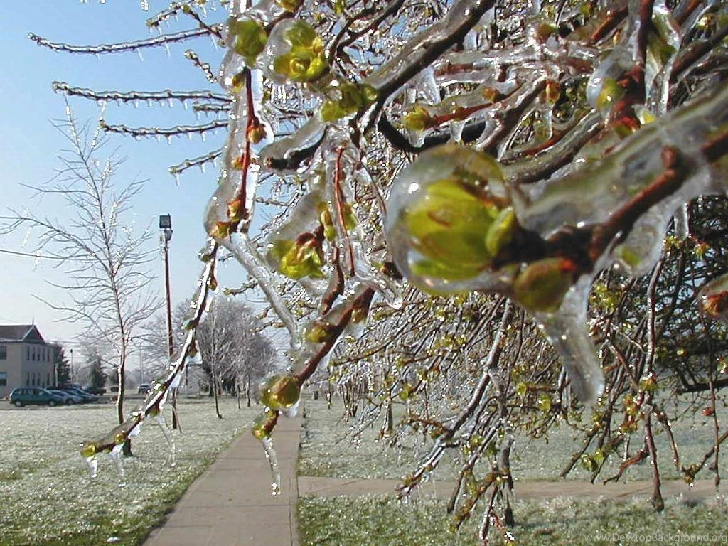 Spring Scenes Wallpapers From Wilstar.com